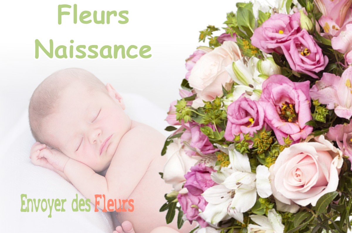 lIVRAISON FLEURS NAISSANCE à GATTEVILLE-LE-PHARE